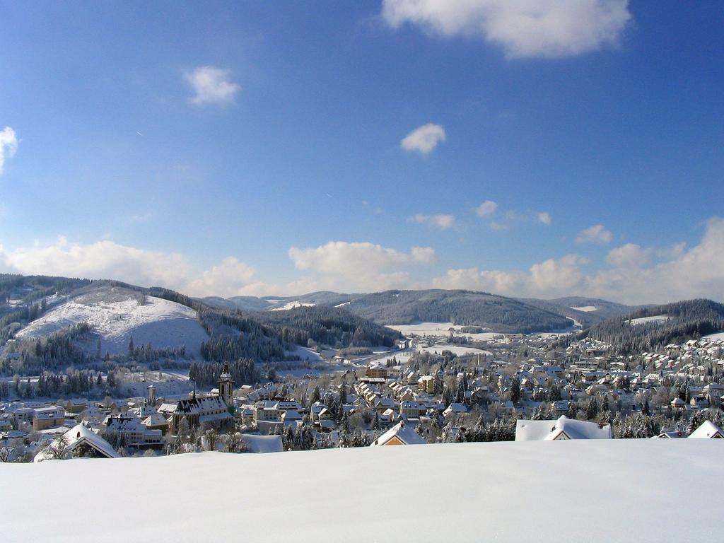 Ferienwohnung Am Eisweiher Titisee-Neustadt Exterior photo